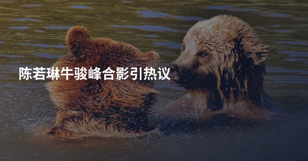 陈若琳牛骏峰合影引热议