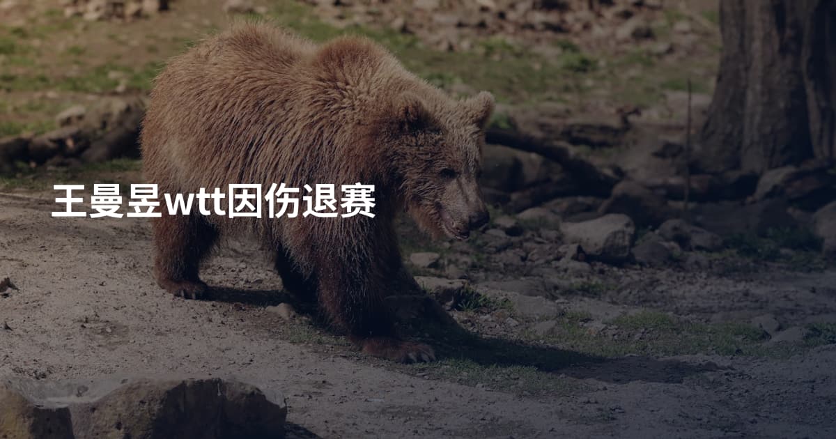 王曼昱wtt因伤退赛
