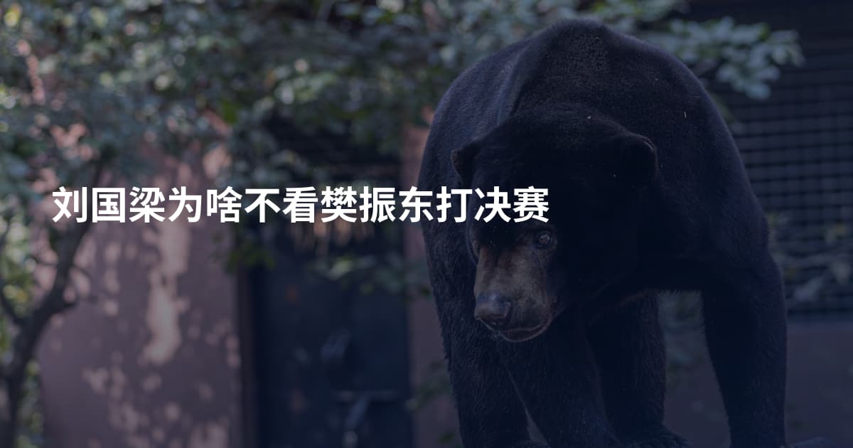 刘国梁为啥不看樊振东打决赛