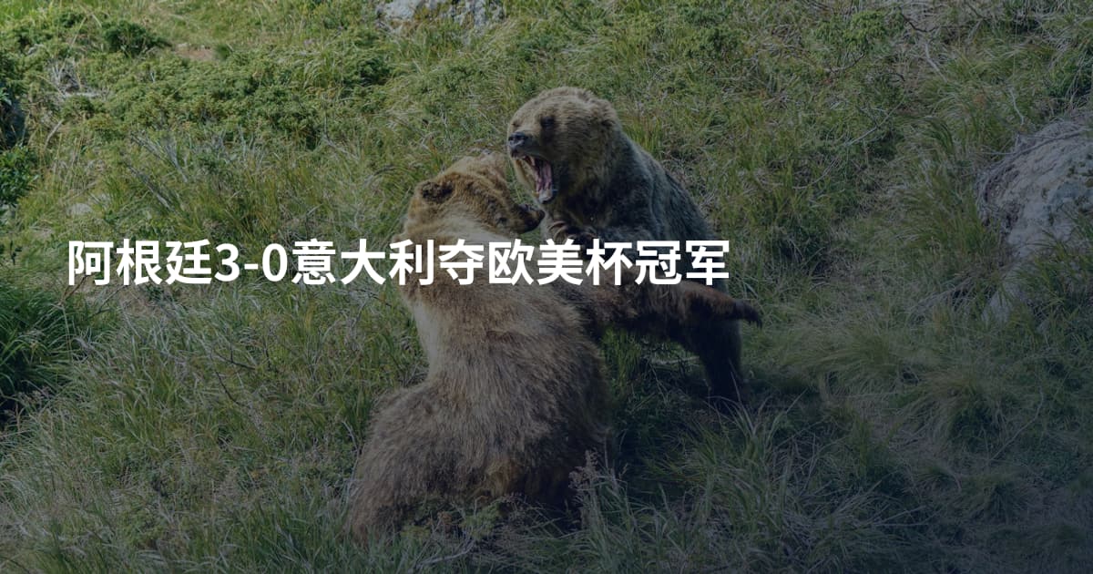 阿根廷3-0意大利夺欧美杯冠军