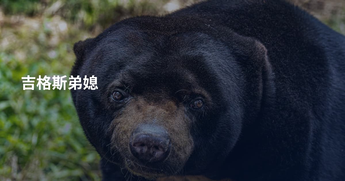 吉格斯弟媳