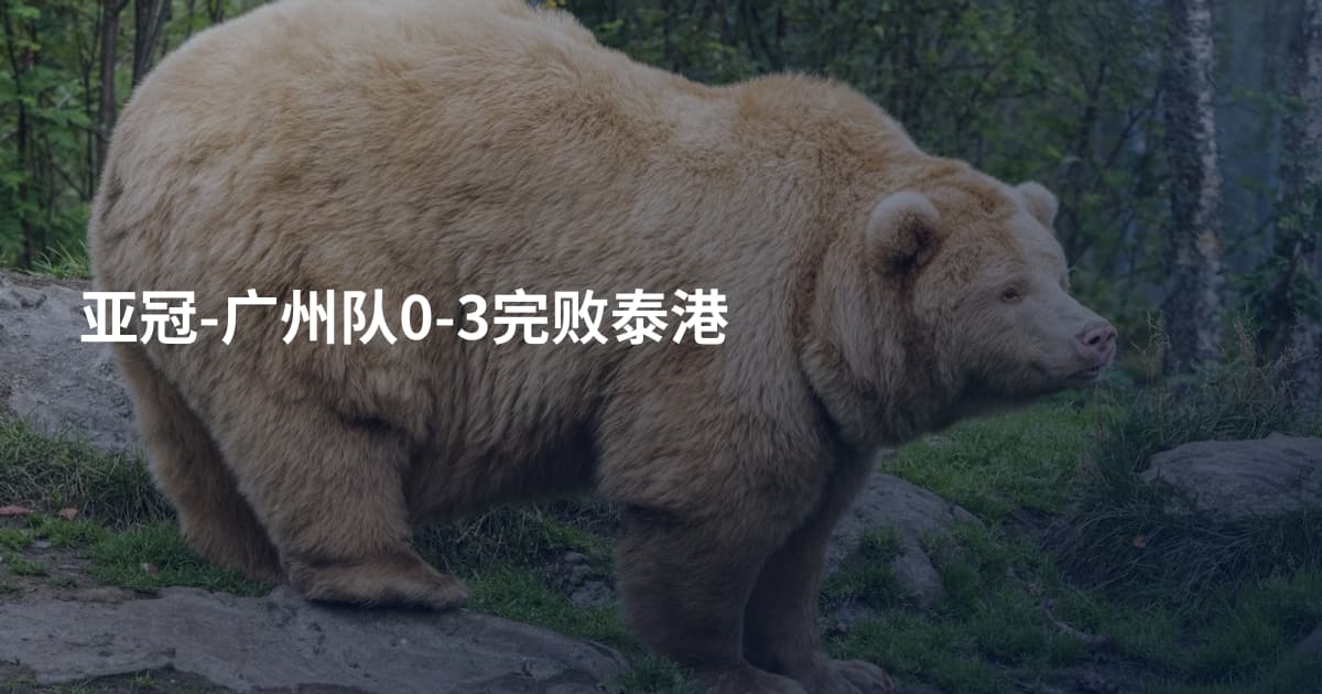 亚冠-广州队0-3完败泰港