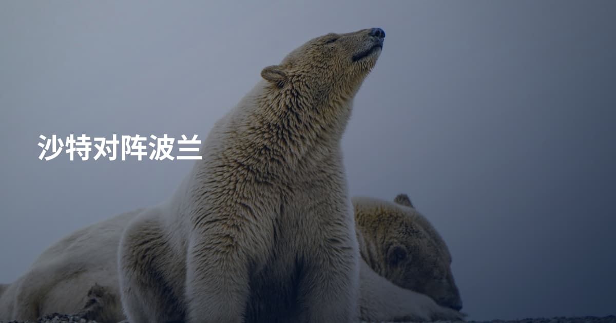 沙特对阵波兰