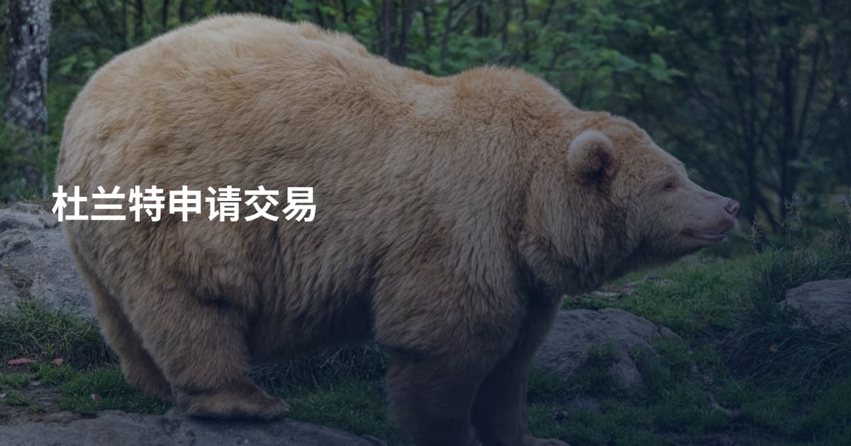 杜兰特申请交易