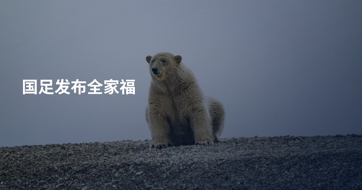 国足发布全家福