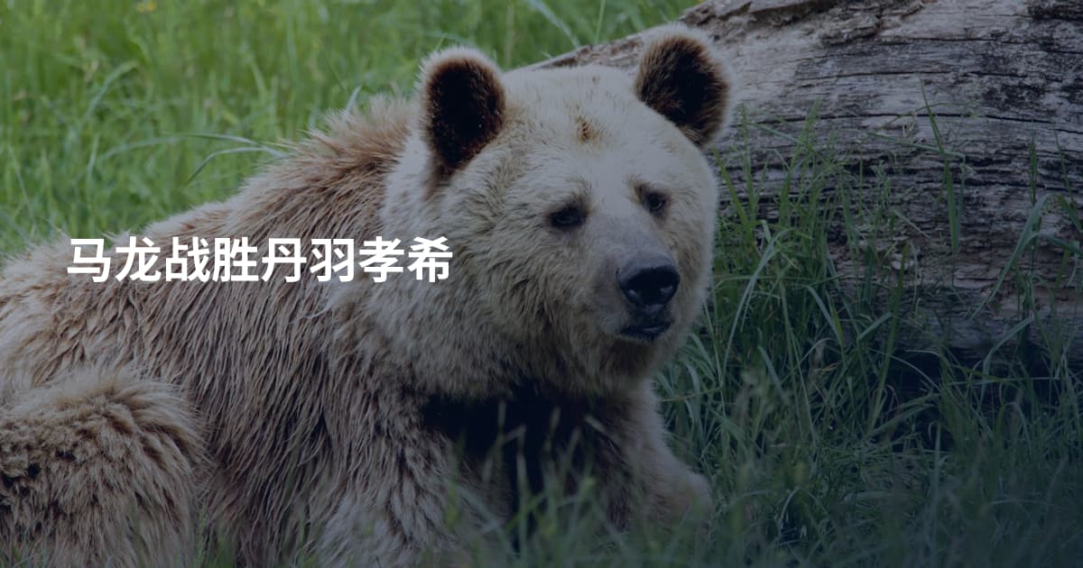 马龙战胜丹羽孝希