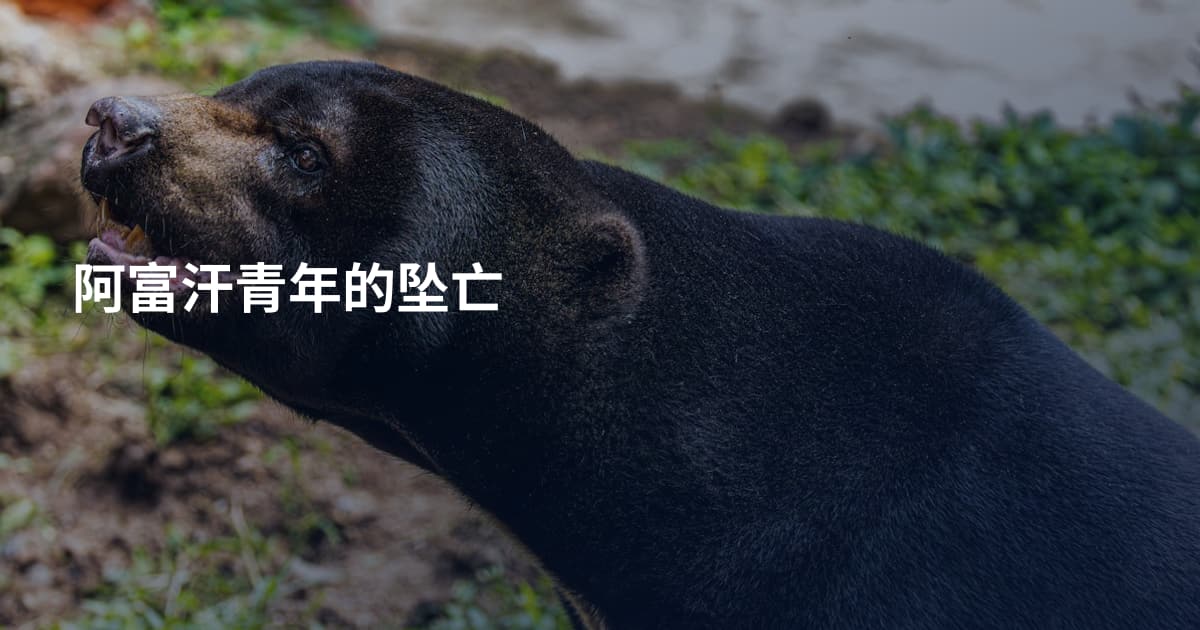 阿富汗青年的坠亡