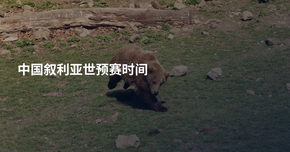 中国叙利亚世预赛时间