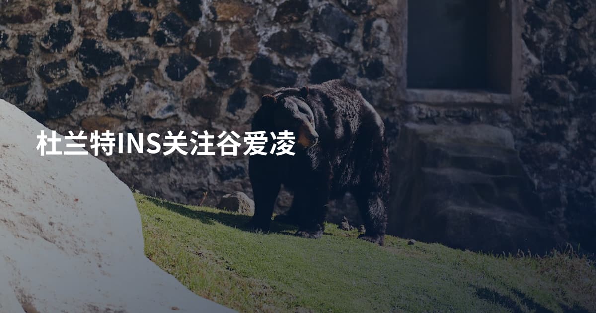 杜兰特INS关注谷爱凌