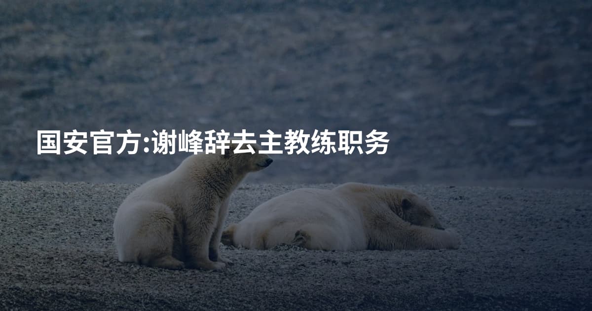 国安官方:谢峰辞去主教练职务