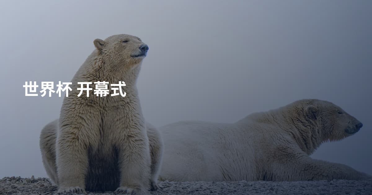 世界杯 开幕式