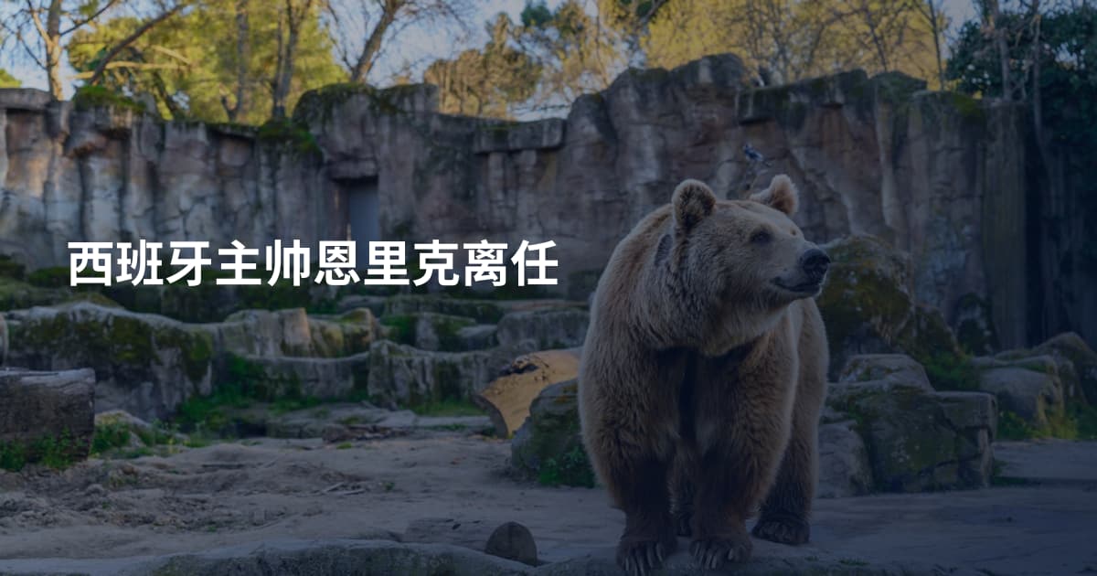 西班牙主帅恩里克离任