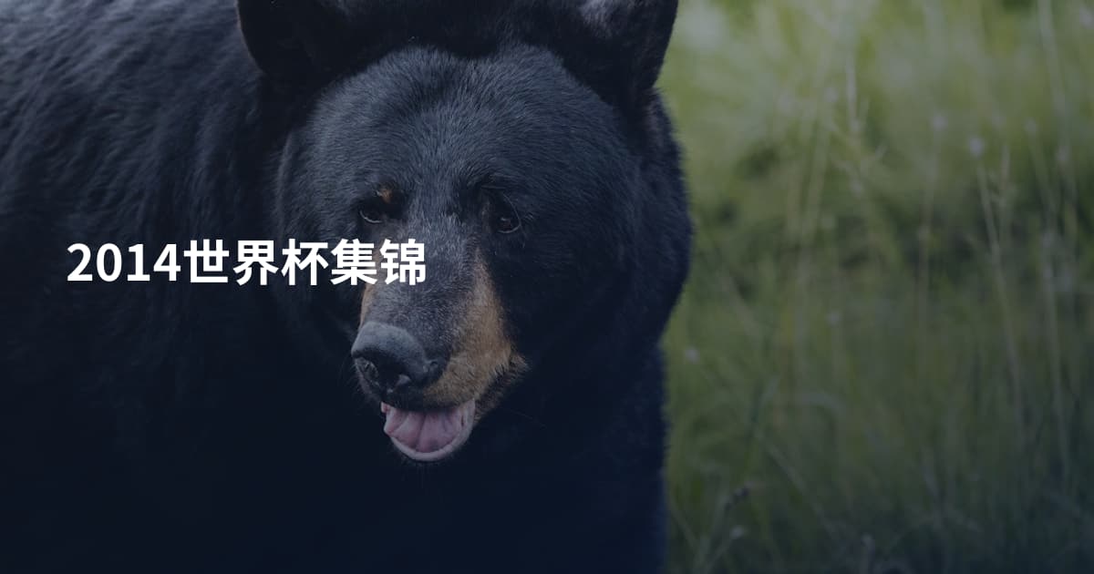 2014世界杯集锦