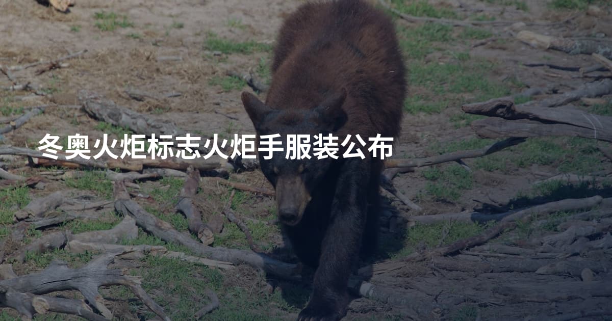 冬奥火炬标志火炬手服装公布