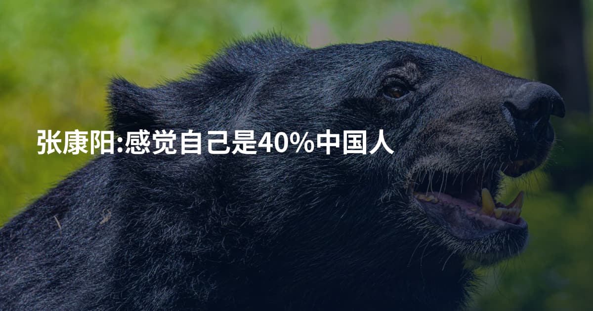 张康阳:感觉自己是40%中国人