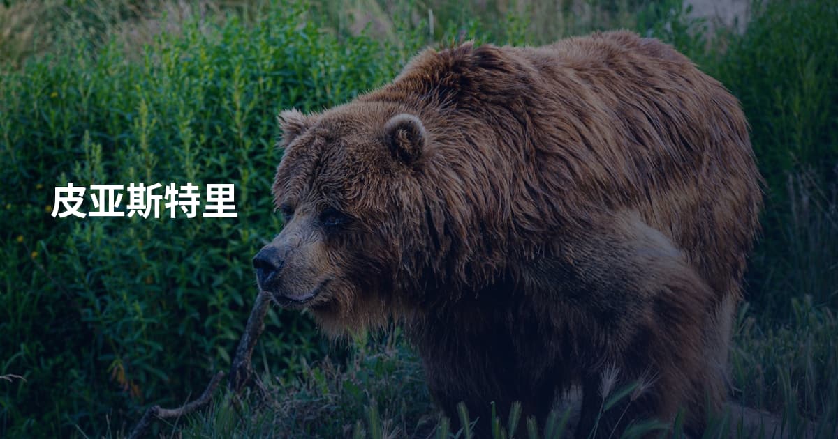 皮亚斯特里