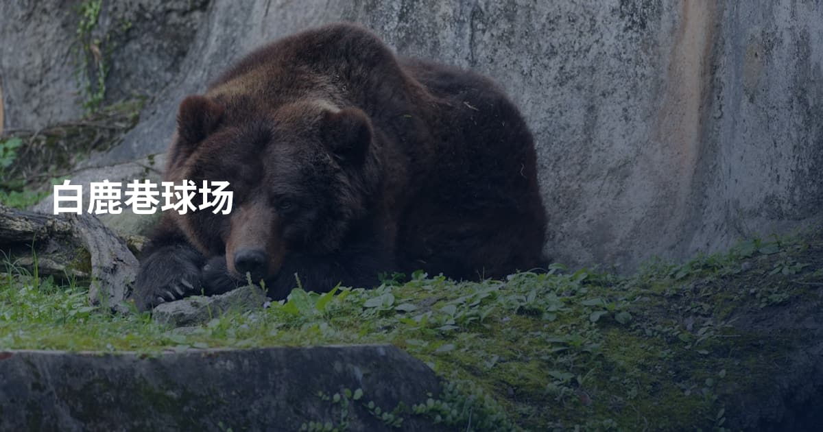 白鹿巷球场