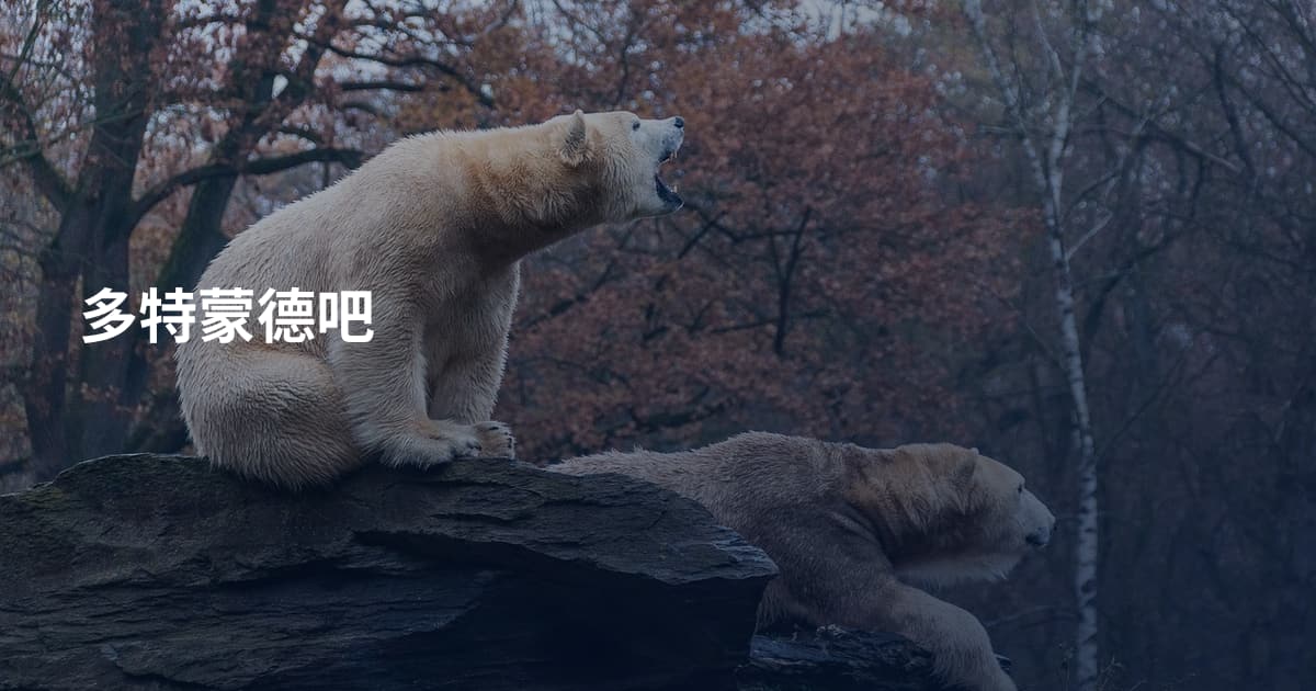 多特蒙德吧