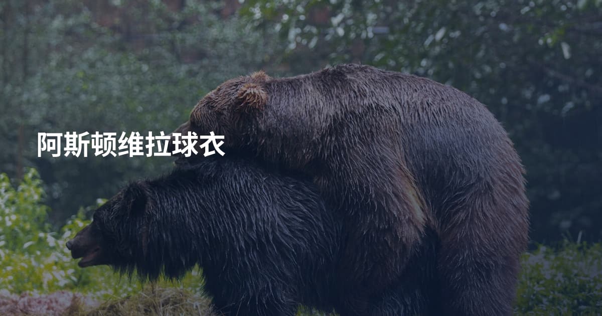 阿斯顿维拉球衣