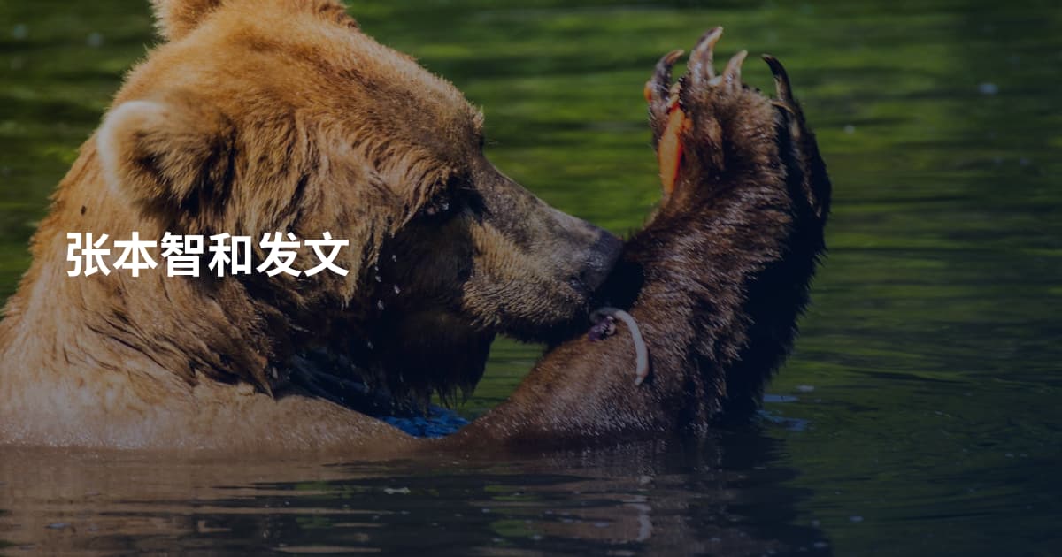 张本智和发文