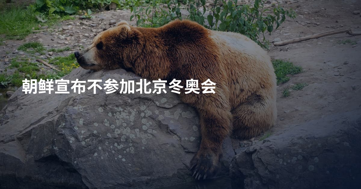 朝鲜宣布不参加北京冬奥会