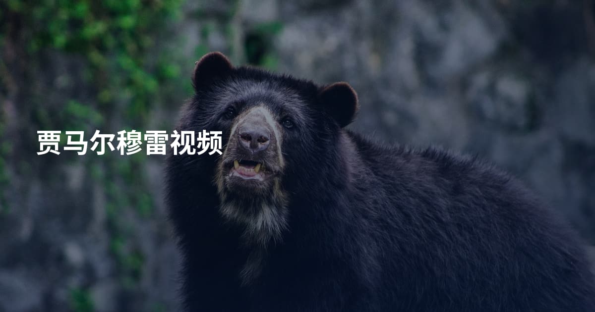 贾马尔穆雷视频