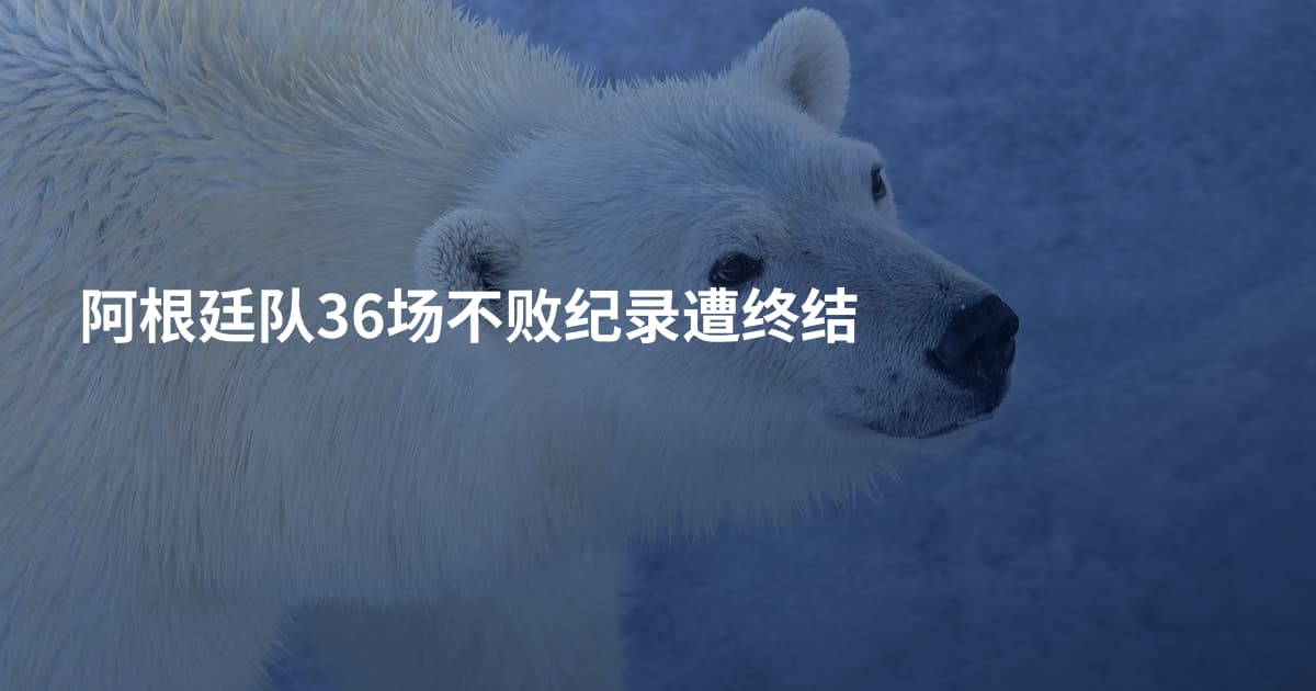 阿根廷队36场不败纪录遭终结