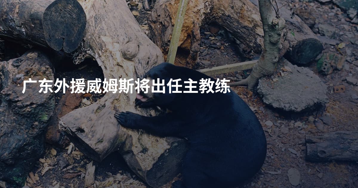 广东外援威姆斯将出任主教练