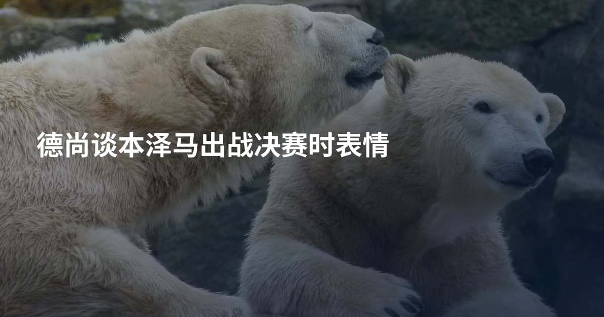 德尚谈本泽马出战决赛时表情