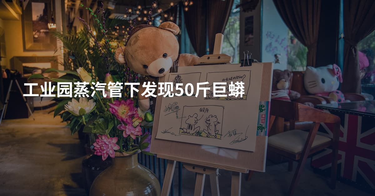 工业园蒸汽管下发现50斤巨蟒