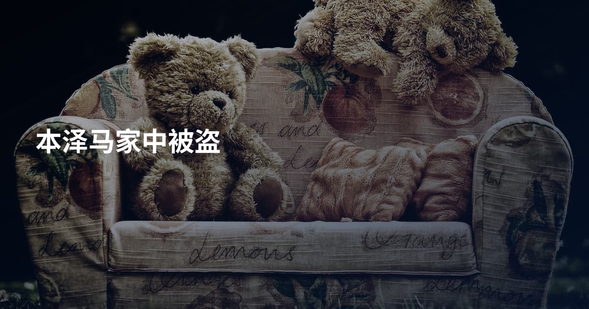 本泽马家中被盗