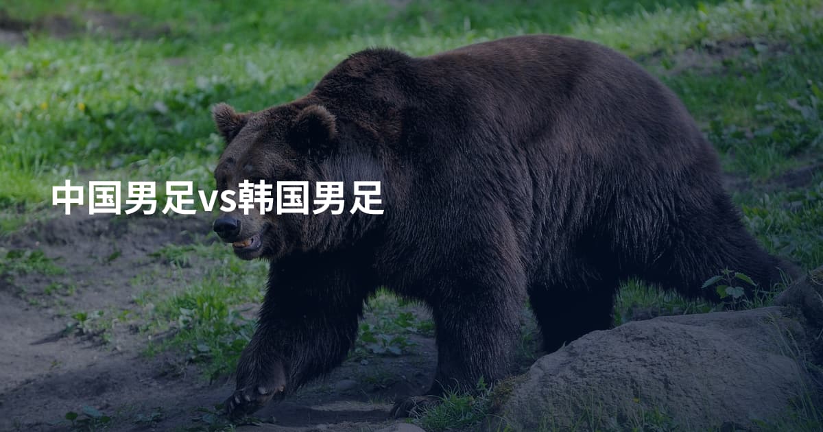 中国男足vs韩国男足