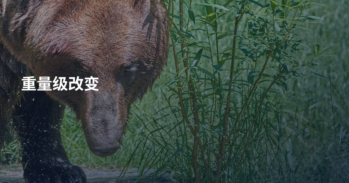 重量级改变