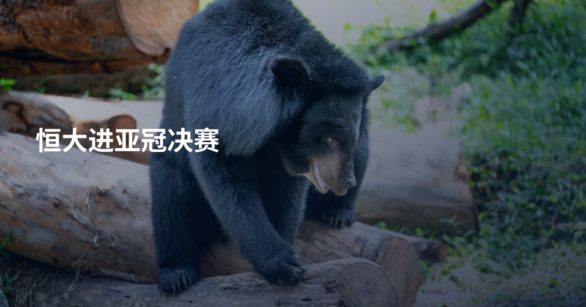 恒大进亚冠决赛
