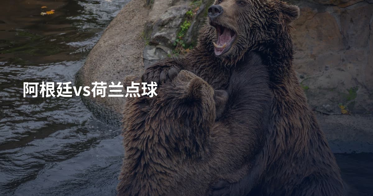 阿根廷vs荷兰点球