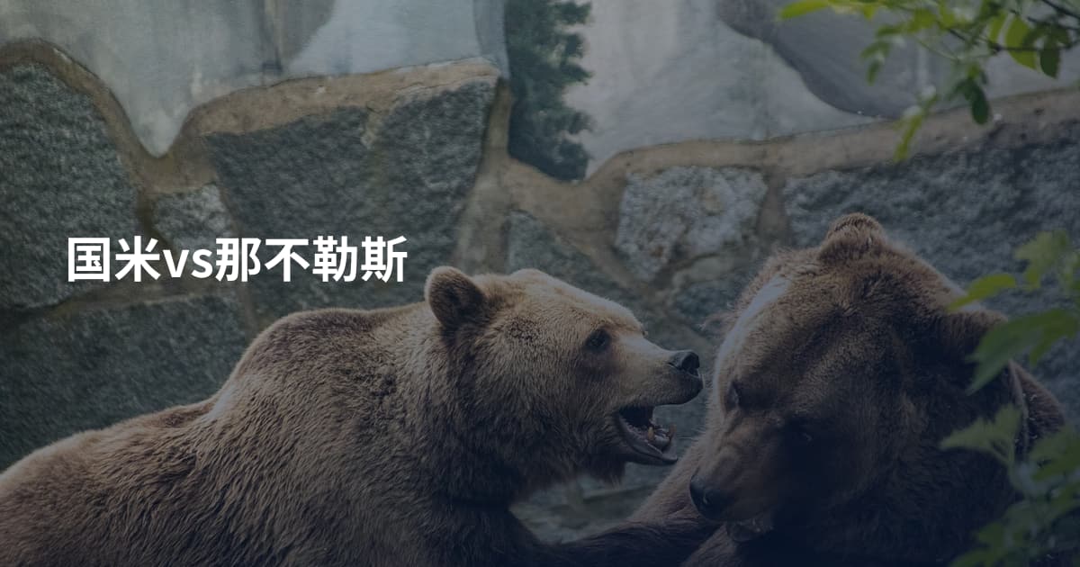 国米vs那不勒斯