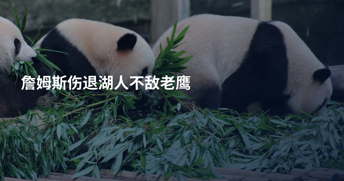 詹姆斯伤退湖人不敌老鹰