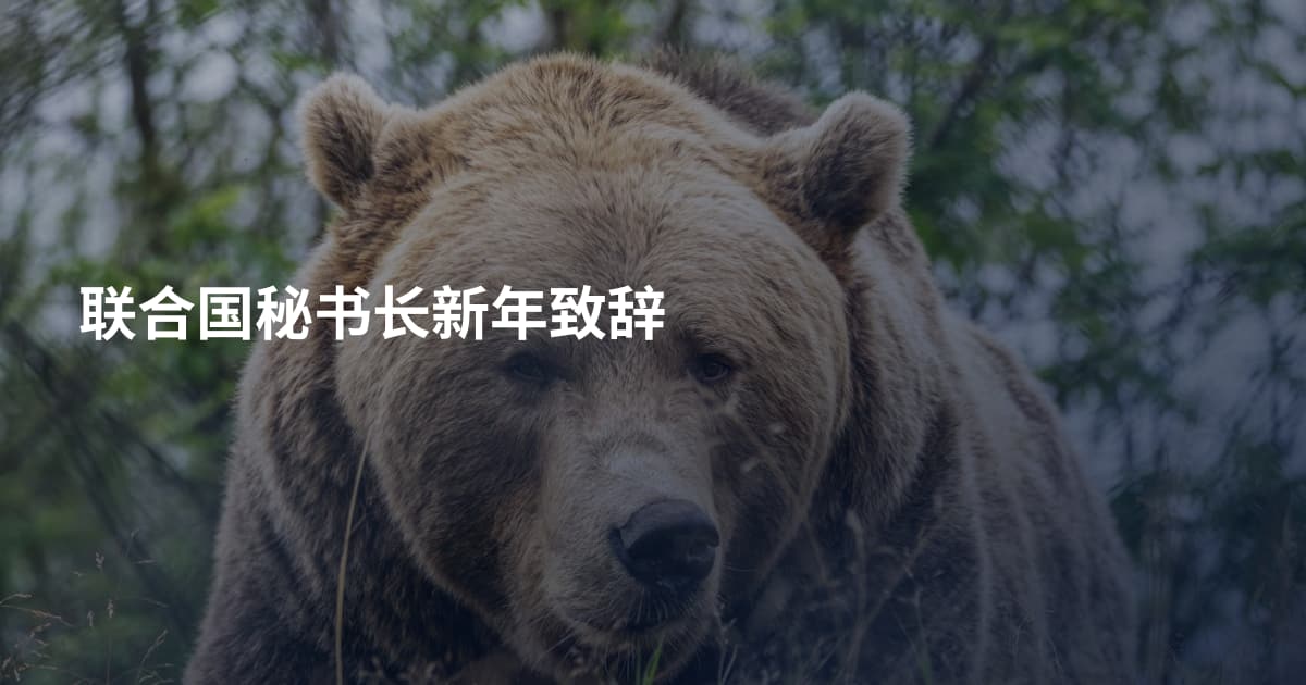 联合国秘书长新年致辞