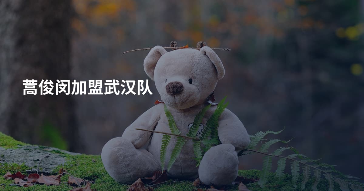 蒿俊闵加盟武汉队