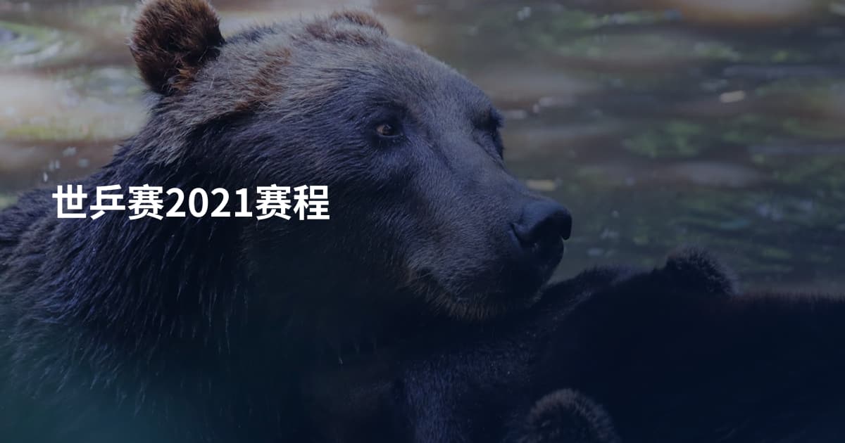 世乒赛2021赛程