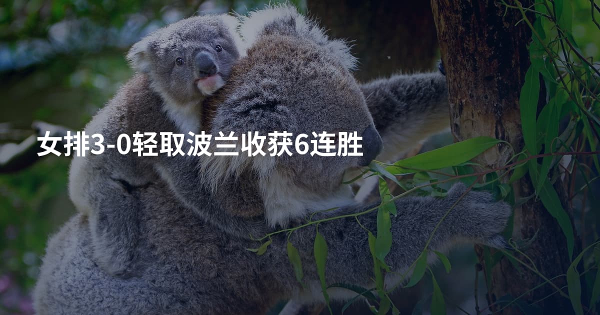 女排3-0轻取波兰收获6连胜
