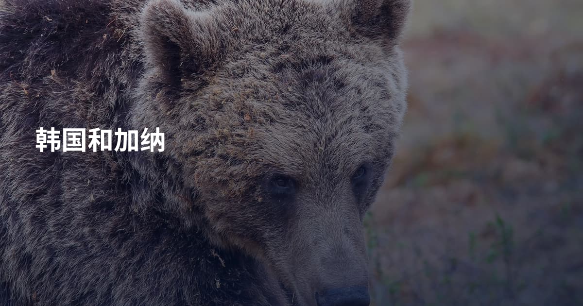 韩国和加纳