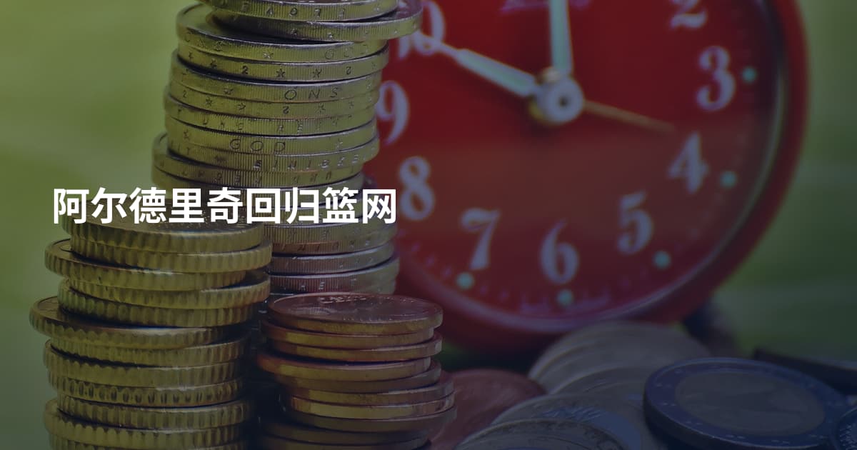 阿尔德里奇回归篮网