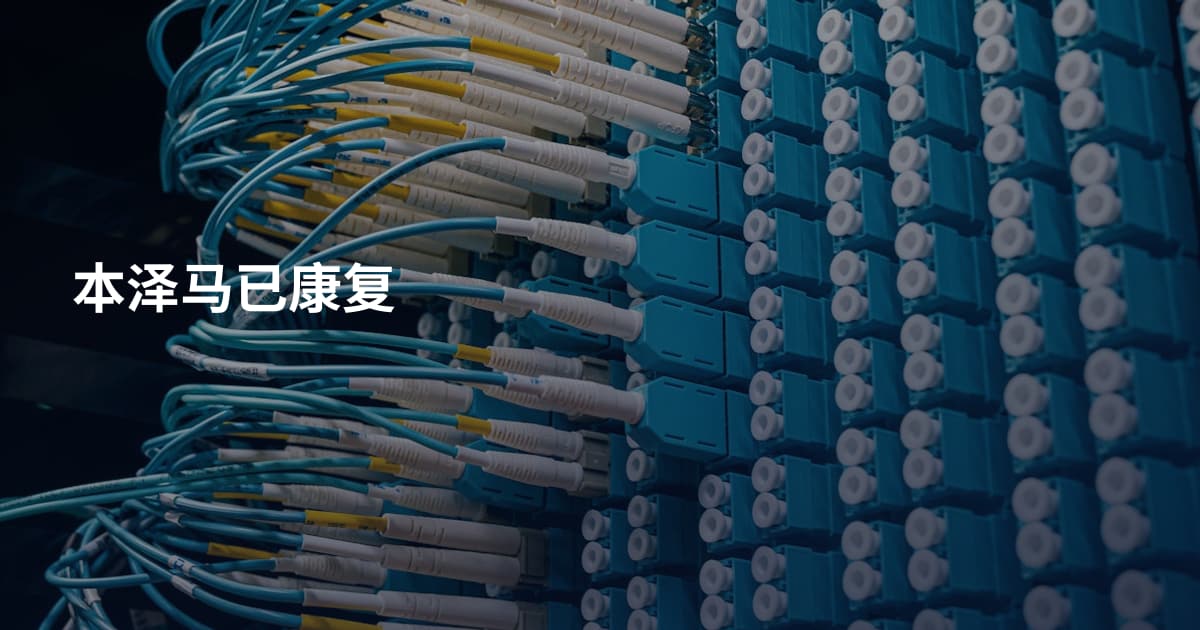 本泽马已康复