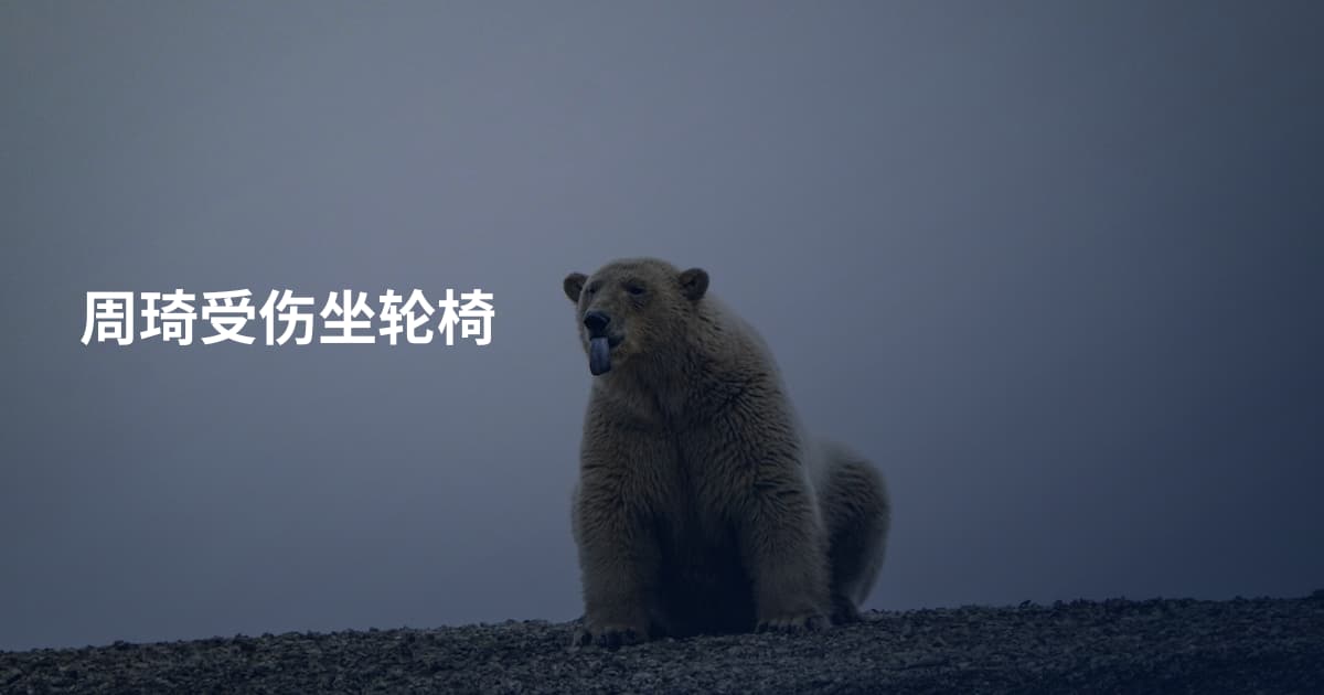 周琦受伤坐轮椅