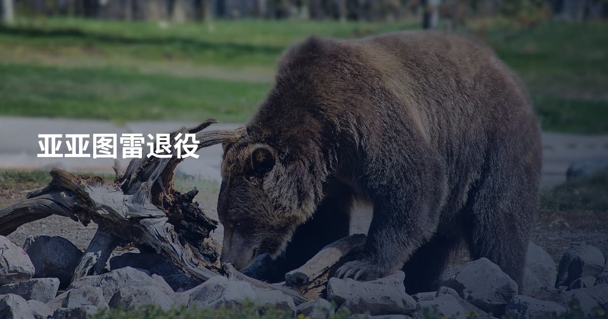 亚亚图雷退役