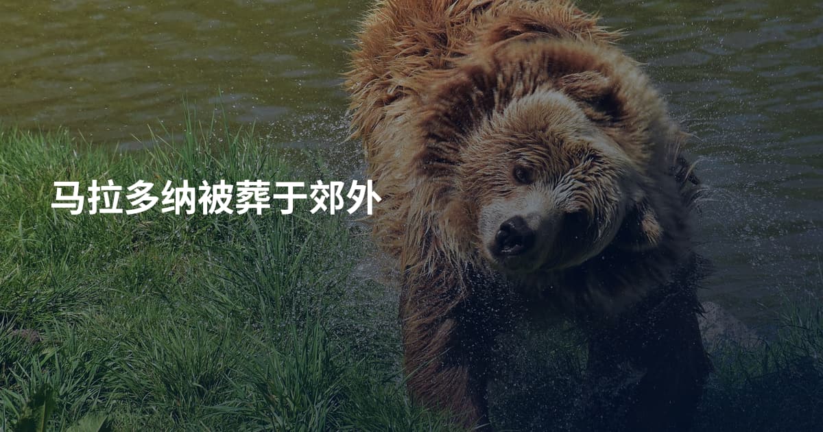 马拉多纳被葬于郊外