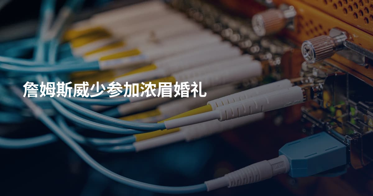 詹姆斯威少参加浓眉婚礼