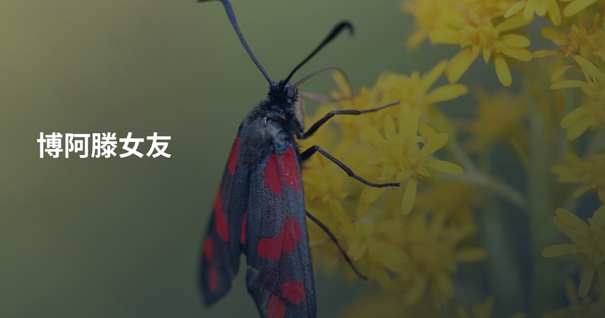 博阿滕女友