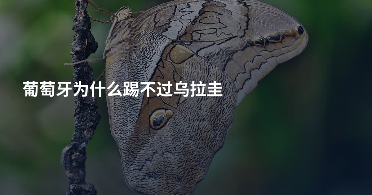 葡萄牙为什么踢不过乌拉圭